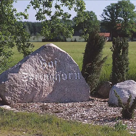 Hof Springhorn * ゾルタウ