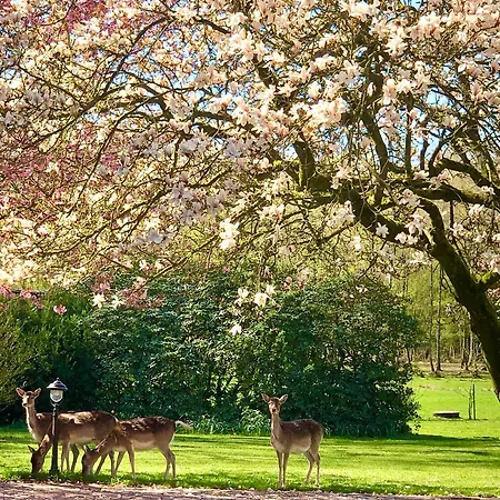 Hof Springhorn *